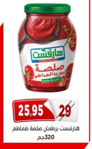 available at اسواق البدر in Egypt - القاهرة