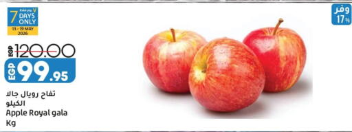 Apple available at Lulu Hypermarket  in Egypt - Cairo
