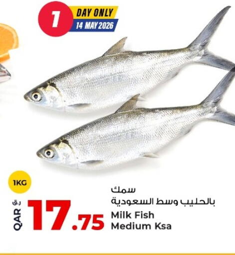 available at روابي هايبرماركت in قطر - الشحانية
