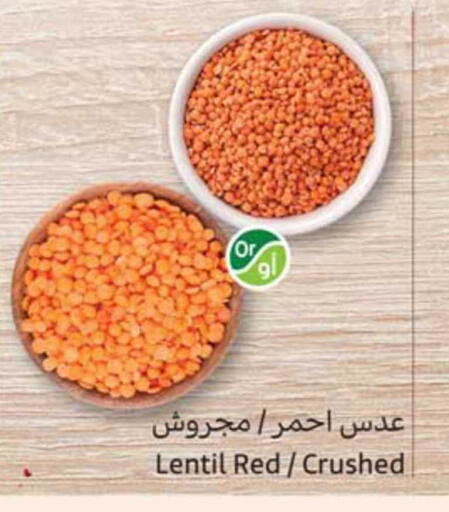 available at Othaim Markets in KSA, Saudi Arabia, Saudi - Al Hasa
