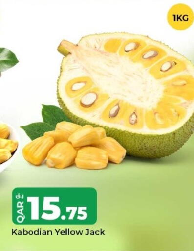 available at روابي هايبرماركت in قطر - الوكرة