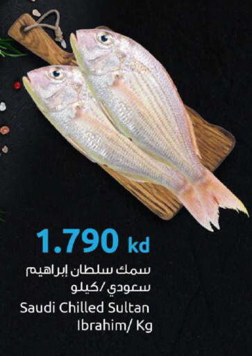 available at The Sultan Center in Kuwait - Jahra Governorate