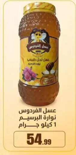 available at El Mahlawy Stores in Egypt - Cairo