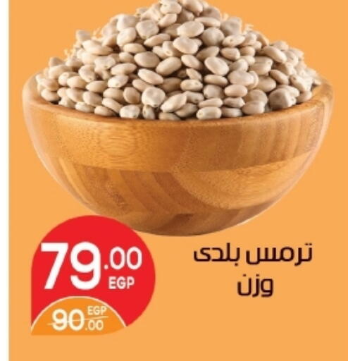 available at زاهر in Egypt - القاهرة