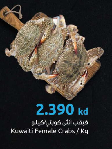 available at The Sultan Center in Kuwait - Jahra Governorate