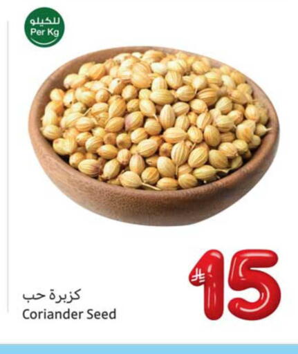 Coriander available at Othaim Markets in KSA, Saudi Arabia, Saudi - Al Hasa