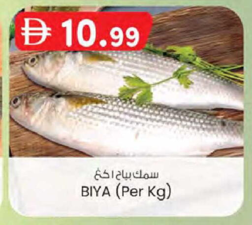 available at ك. الم. للتجارة in الإمارات العربية المتحدة , الامارات - دبي