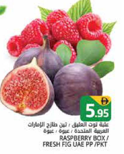 Raspberry Fig available at Pasons Hypermarket in UAE - Dubai