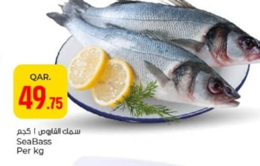 available at باريس هايبرماركت in قطر - الدوحة