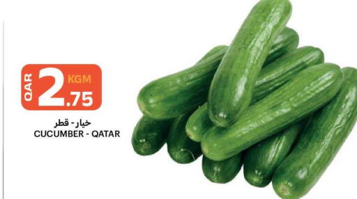 Cucumber from Qatar available at البلدي اليوم in قطر - الدوحة