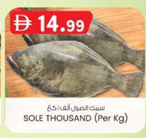 available at ك. الم. للتجارة in الإمارات العربية المتحدة , الامارات - ٱلْفُجَيْرَة‎