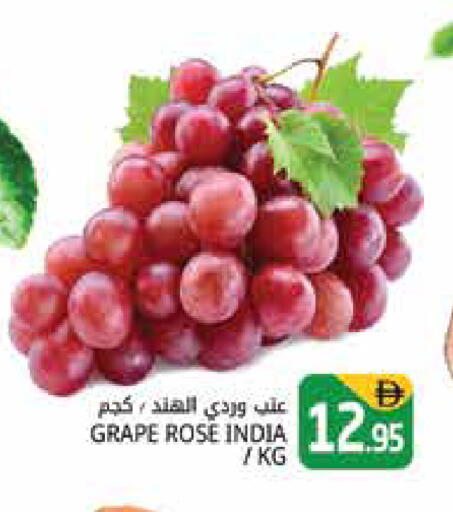 from India available at Pasons Hypermarket in UAE - Dubai