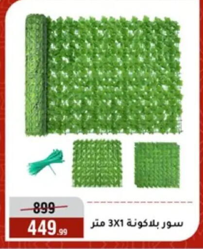available at Al Morshedy  in Egypt - Cairo