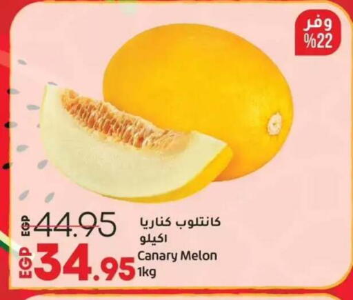 Melon available at Lulu Hypermarket  in Egypt