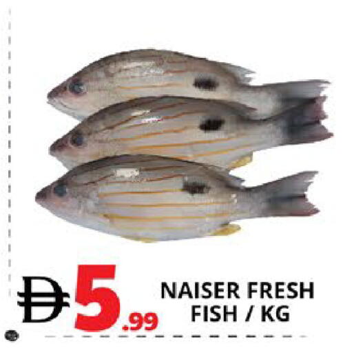 available at اكسبرس المدينة هايبرماركت in الإمارات العربية المتحدة , الامارات - أبو ظبي