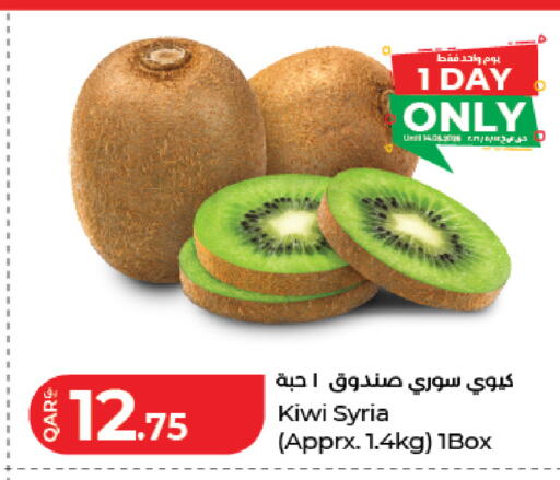 Kiwi from Syria available at لولو هايبرماركت in قطر - الخور