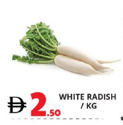 Radish available at اكسبرس المدينة هايبرماركت in الإمارات العربية المتحدة , الامارات - أبو ظبي