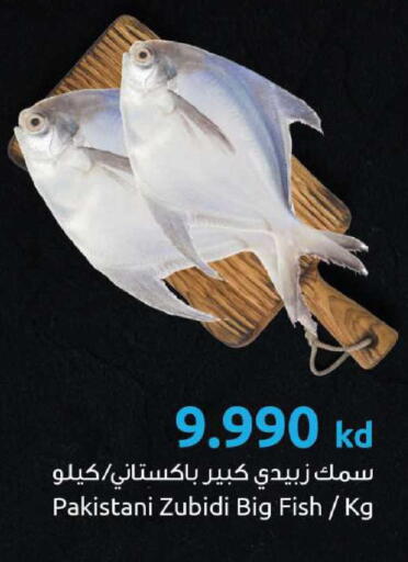available at The Sultan Center in Kuwait - Jahra Governorate
