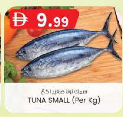available at ك. الم. للتجارة in الإمارات العربية المتحدة , الامارات - ٱلْفُجَيْرَة‎