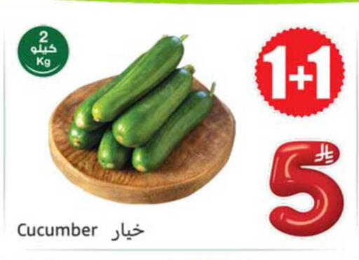 Cucumber available at أسواق عبد الله العثيم in مملكة العربية السعودية, السعودية, سعودية - الطائف