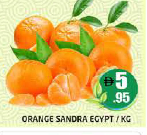 Orange from Egypt available at Pasons Hypermarket in UAE - Dubai
