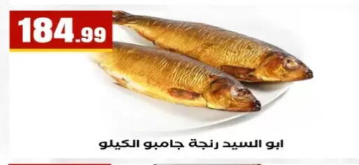 available at El Mahlawy Stores in Egypt - Cairo