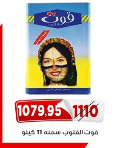 available at اسواق البدر in Egypt - القاهرة