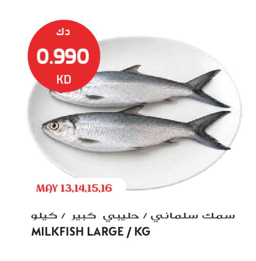 available at Grand Hyper in Kuwait - Jahra Governorate