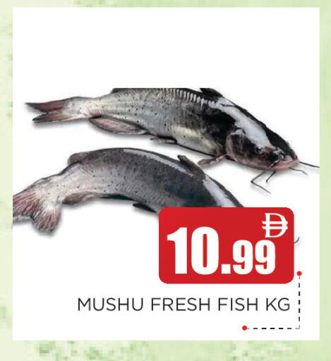 available at عين المدينة هايبرماركت in الإمارات العربية المتحدة , الامارات - الشارقة / عجمان