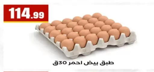 available at المحلاوي ستورز in Egypt - القاهرة