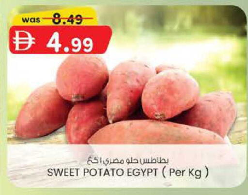Sweet Potato from Egypt available at K M Trading  in UAE - Abu Dhabi