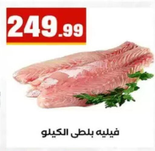 available at المحلاوي ستورز in Egypt - القاهرة