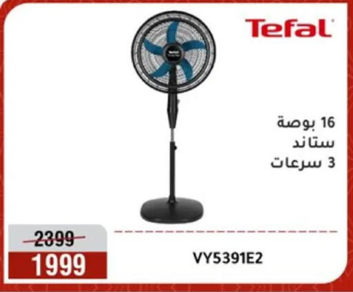 available at المرشدي in Egypt - القاهرة