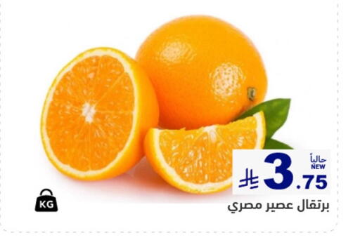 available at أسواق رامز in مملكة العربية السعودية, السعودية, سعودية - حفر الباطن