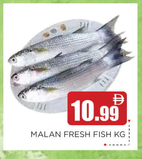 available at عين المدينة هايبرماركت in الإمارات العربية المتحدة , الامارات - الشارقة / عجمان