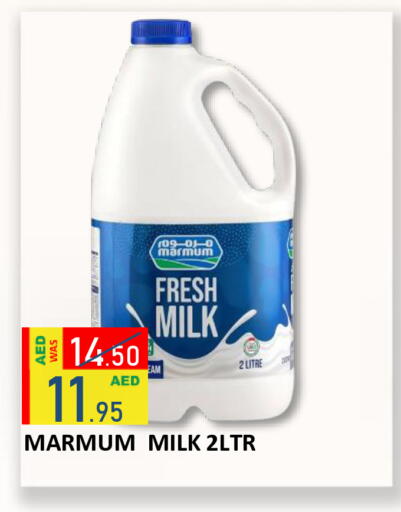 available at رويال جلف هايبرماركت in الإمارات العربية المتحدة , الامارات - أبو ظبي