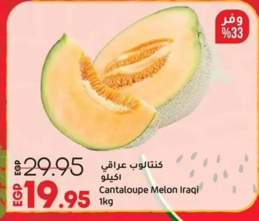 Cantaloupe Melon from Iraq available at Lulu Hypermarket  in Egypt