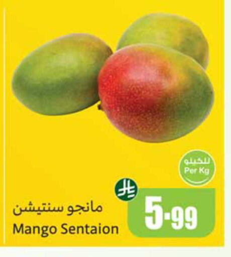 Mango available at أسواق عبد الله العثيم in مملكة العربية السعودية, السعودية, سعودية - نجران