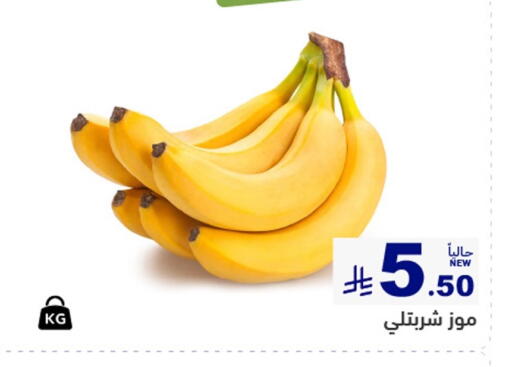 available at أسواق رامز in مملكة العربية السعودية, السعودية, سعودية - الرياض
