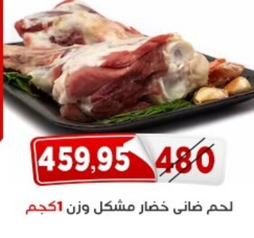 available at اسواق البدر in Egypt - القاهرة
