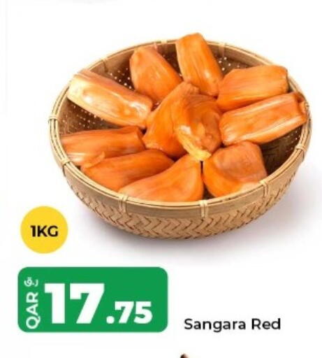 available at روابي هايبرماركت in قطر - الوكرة