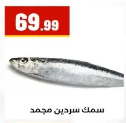 available at المحلاوي ستورز in Egypt - القاهرة