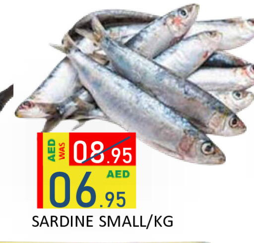 available at رويال جلف هايبرماركت in الإمارات العربية المتحدة , الامارات - أبو ظبي