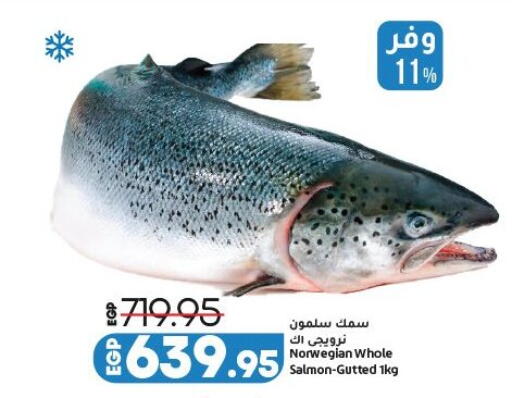 available at لولو هايبرماركت in Egypt - القاهرة