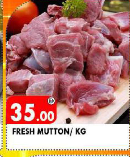 available at AL MADINA in UAE - Sharjah / Ajman