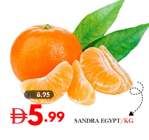 from Egypt available at ديزرت فريش ماركت in الإمارات العربية المتحدة , الامارات - أبو ظبي