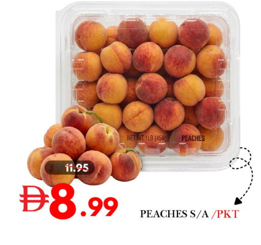 available at ديزرت فريش ماركت in الإمارات العربية المتحدة , الامارات - أبو ظبي