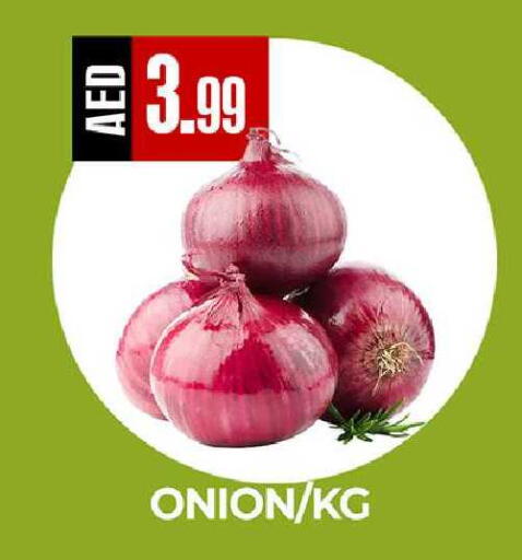 Onion available at  RIVIERA SUPERMARKET L.L.C in UAE - Abu Dhabi