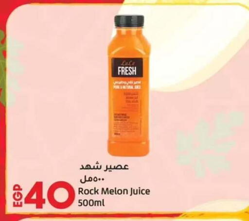 Melon available at Lulu Hypermarket  in Egypt