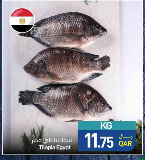 available at ســبــار in قطر - أم صلال